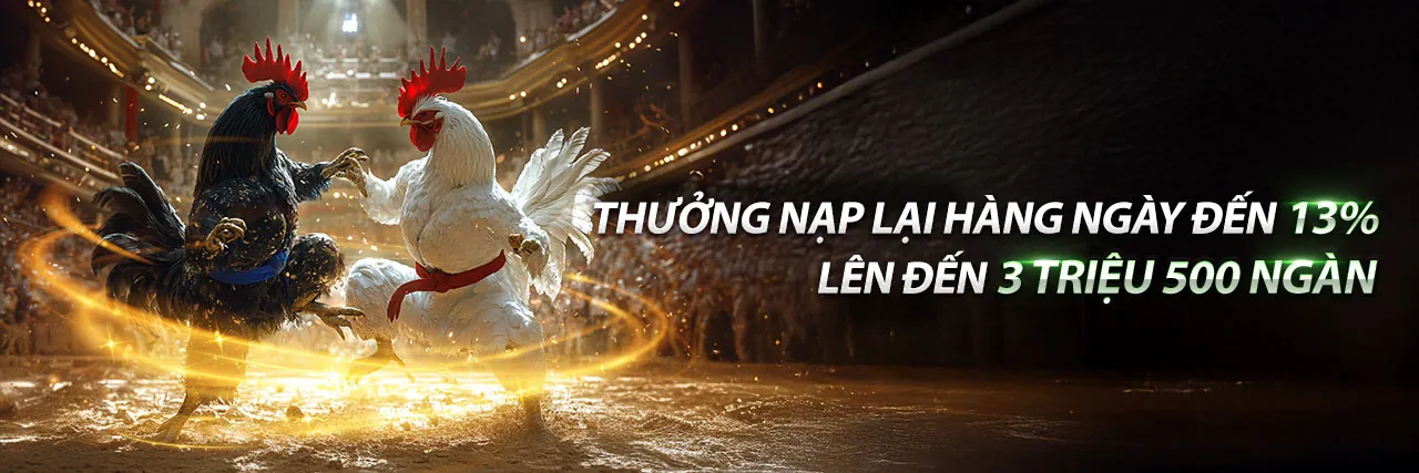 Đá Gà Trực Tuyến 8k7658b